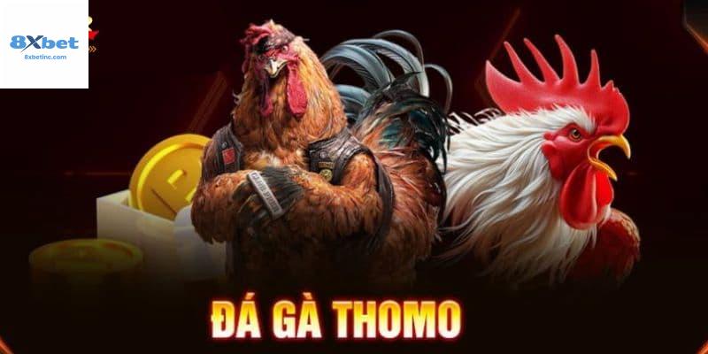 Tìm hiểu về đá gà Thomo