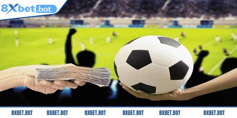 Phân tích dữ liệu trận đấu trước khi quyết định cược